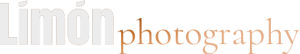 limon-logo-light